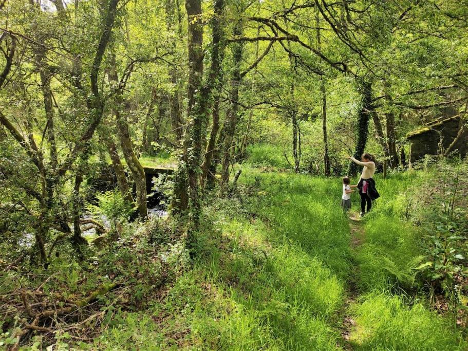 Casa Carmina: Casa Para Pequenos Grupos En El Corazon De Galicia O Irixo Eksteriør billede