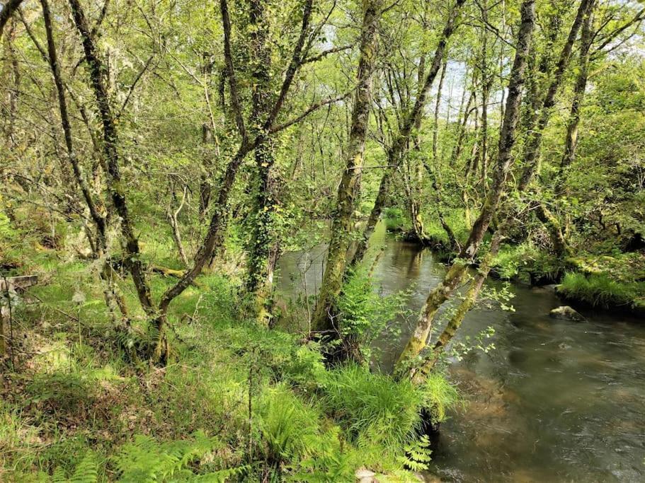 Casa Carmina: Casa Para Pequenos Grupos En El Corazon De Galicia O Irixo Eksteriør billede