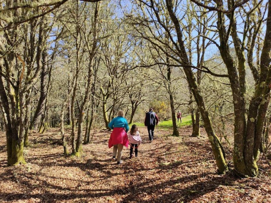 Casa Carmina: Casa Para Pequenos Grupos En El Corazon De Galicia O Irixo Eksteriør billede
